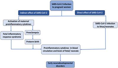 SARS-CoV-2 (COVID-19) as a possible risk factor for neurodevelopmental disorders